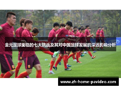 金元足球面临的七大挑战及其对中国足球发展的深远影响分析 金元足球面临的七大挑战及其对中国足球发展的深远影响分析