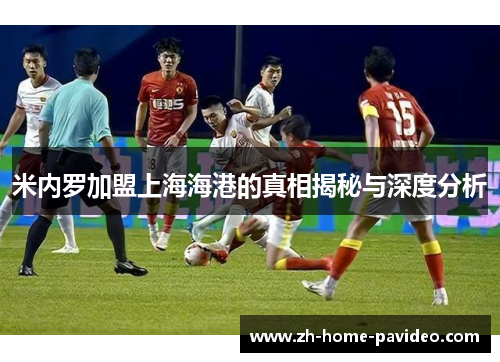 米内罗加盟上海海港的真相揭秘与深度分析