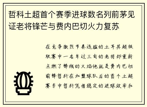 哲科土超首个赛季进球数名列前茅见证老将锋芒与费内巴切火力复苏 哲科土超首个赛季进球数名列前茅见证老将锋芒与费内巴切火力复苏